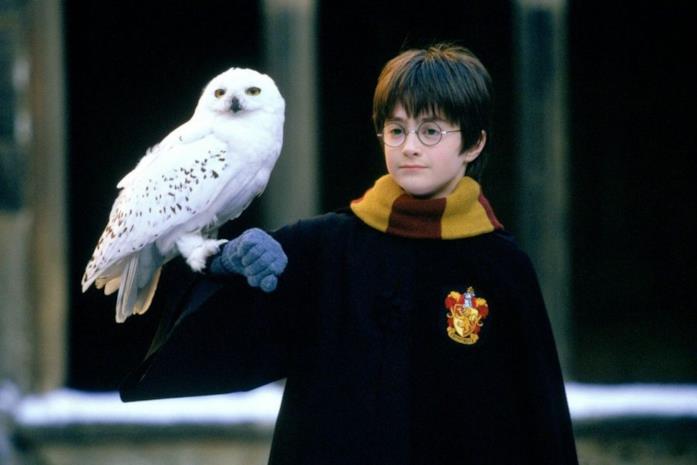 Daniel Radcliffe in Harry Potter e la Pietra Filosofale Il giovane mago Harry Potter con la sua civetta Edvige
