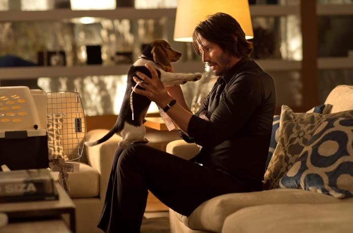 Un'immagine di John Wick e il suo cane