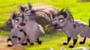 Anteprima La nuova squadra di Janja