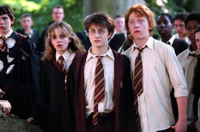 Un'immagine di Harry, Hermione e Ron