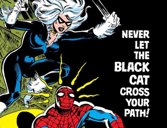 La Gatta Nera al suo primo scontro con Spider-Man Cover di Amazing Spider-Man #194