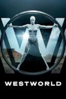 Poster Westworld - Dove tutto è concesso