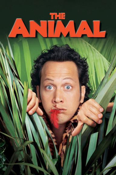 Poster Animal