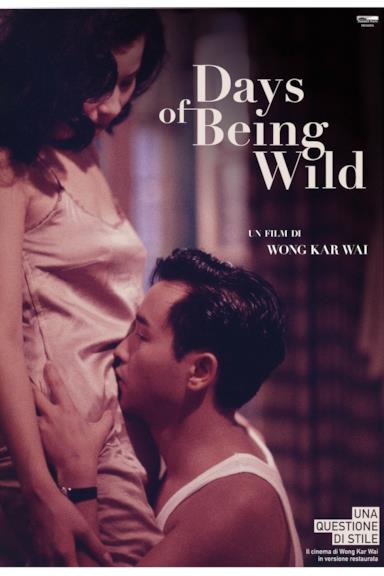 Poster Days of Being Wild