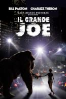 Poster Il grande Joe