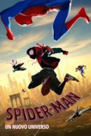 Poster Spider-Man - Un nuovo universo