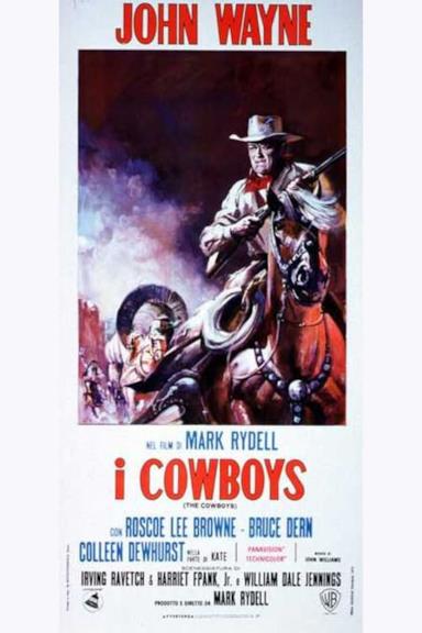 Poster I cowboys