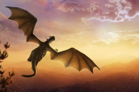 Il Drago Invisibile