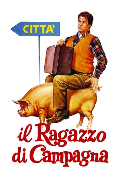 Poster Il ragazzo di campagna