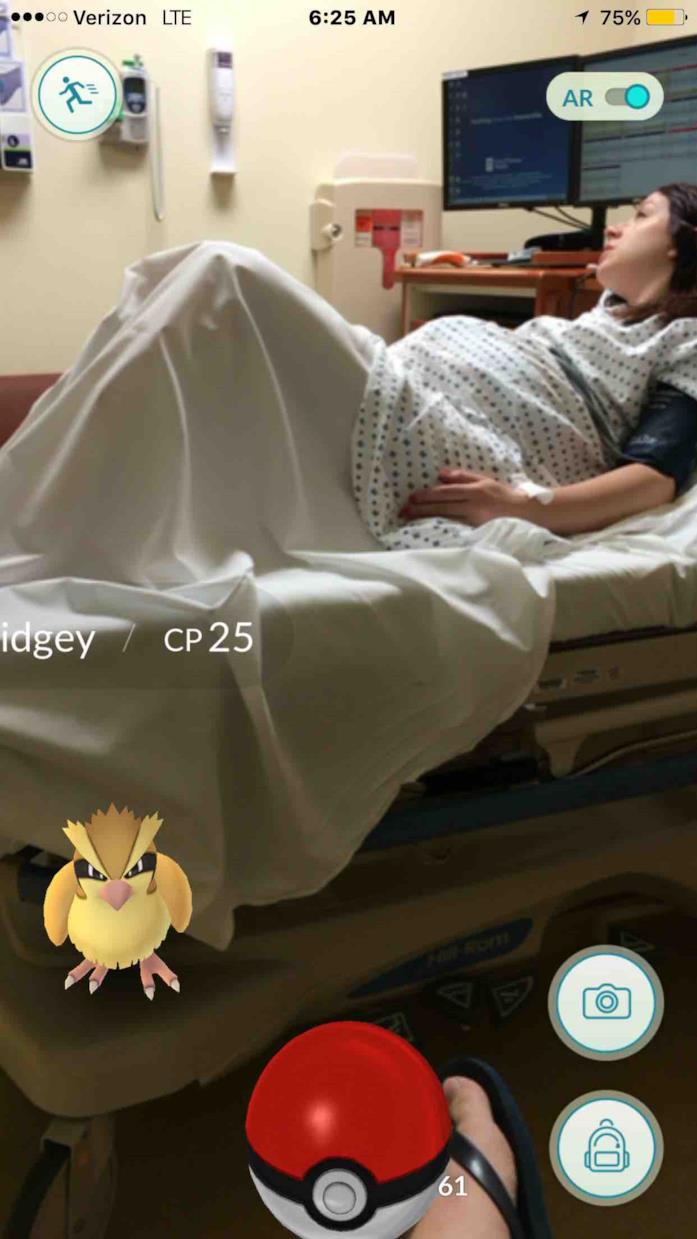 Pokémon in sala parto Un Reddittor cattura un Pidgey in sala parto