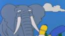 Anteprima Bart vince un elefante