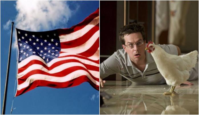 Un collage tra la bandiera americana e Una notte da leoni