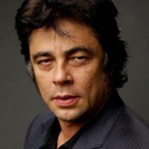 Benicio del Toro