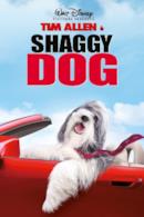 Poster Shaggy Dog - Papà che abbaia non morde