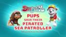 Anteprima Sea Patrol: I cuccioli salvano il Sea Patroller