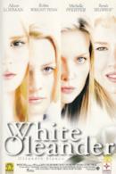 Poster White Oleander - Oleandro bianco