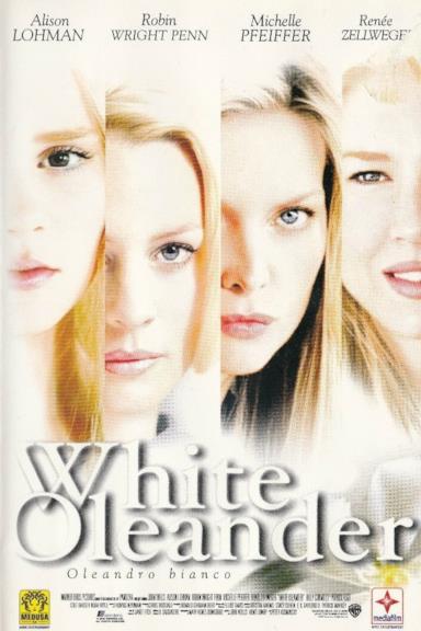 Poster White Oleander - Oleandro bianco
