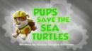 Anteprima I cuccioli salvano le tartarughe marine