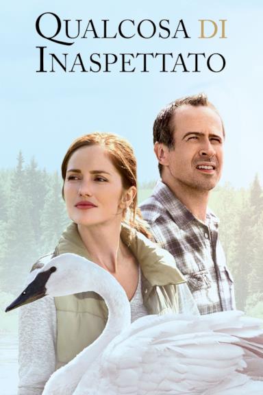Poster Qualcosa di inaspettato