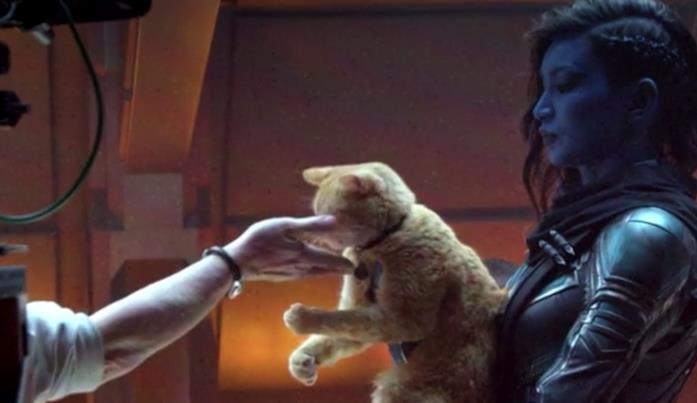Il gatto Goose protagonista di un extra Marvel Il gatto Goose sul set