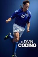 Poster Il Divin Codino