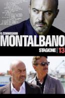 Stagione 13
