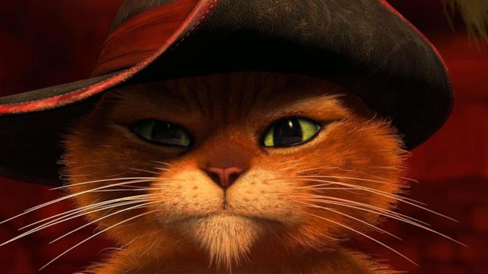 Un primo piano del gatto con gli stivali