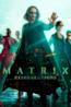 Matrix Resurrections