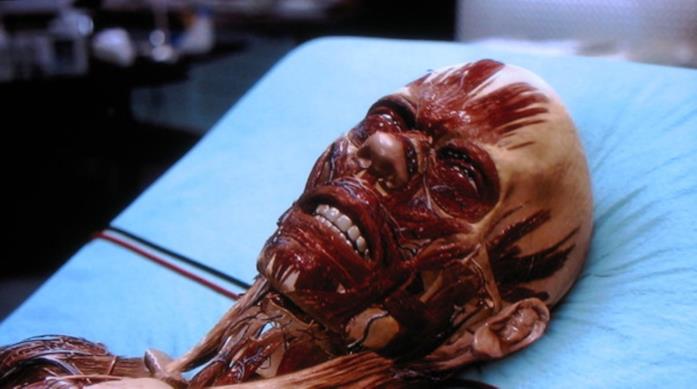 Kevin Bacon è l'uomo invisibile ne L'uomo senza ombra La trasformazione di Bacon nel film