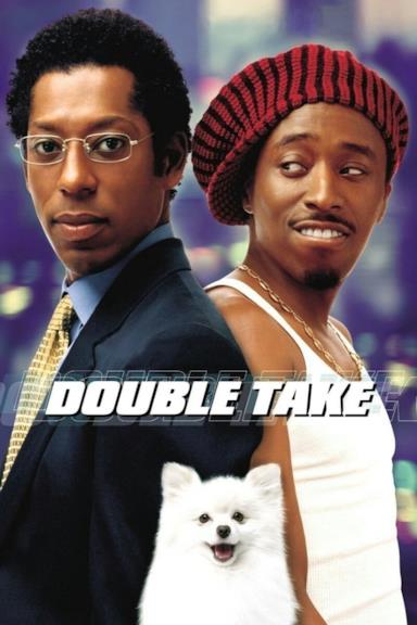 Poster Double Take