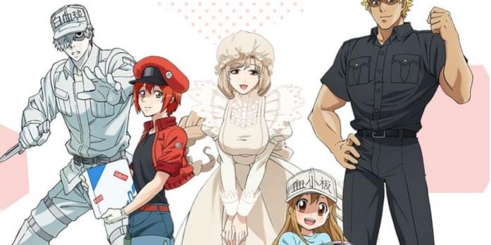 Cells at work anime Cell at Work siamo fatti così
