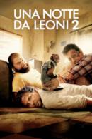 Poster Una notte da leoni 2