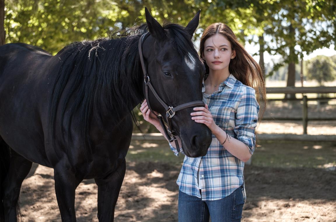 Jo Green accarezza teneramente la cavalla Black Beauty