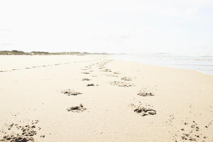 La spiaggia di Dunkerque La distesa di sabbia della spiaggia di Dunkerque