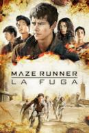 Poster Maze Runner - La fuga