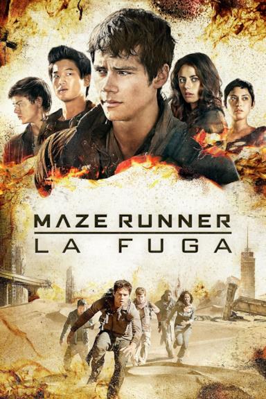 Poster Maze Runner - La fuga