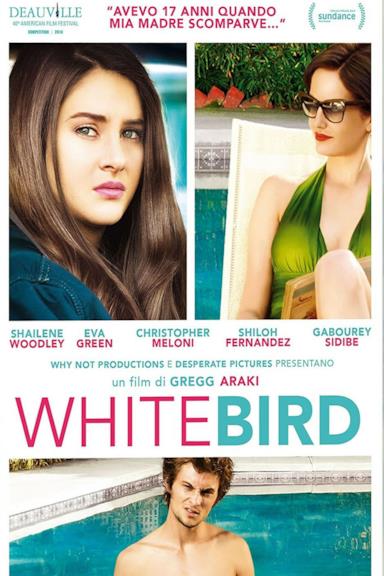 Poster White Bird