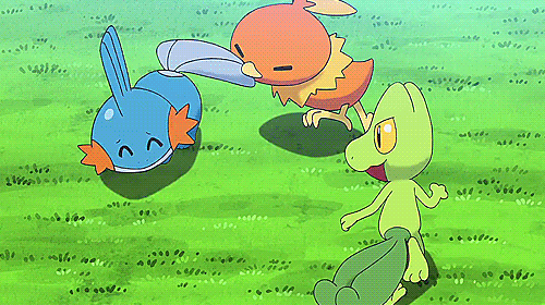 Treecko, Torchic e Mudkip in una GIF
