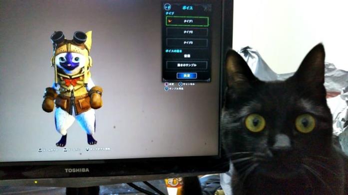 Un gatto ''gioca'' a Monster Hunter World