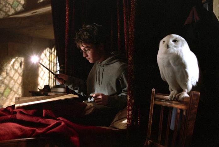 Harry Potter Harry e la civetta Hedwige