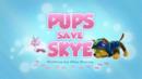 Anteprima I cuccioli salvano Skye