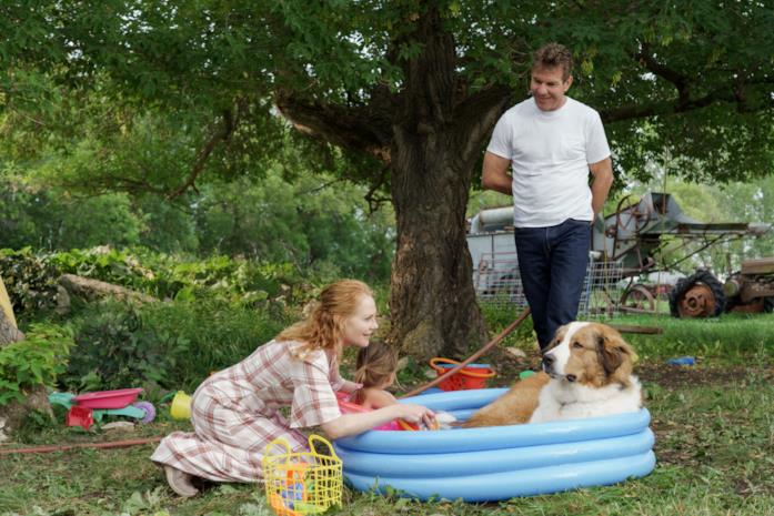 Qua la Zampa 2, il cast e il trailer del film Il cane di Qua la Zampa 2 fa il bagno nella piscina gonfiabile