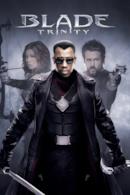 Poster Blade: Trinity