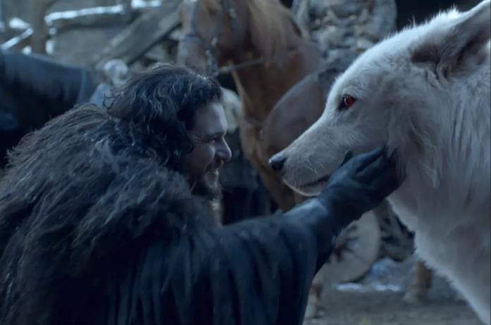 Ghost e il suo rapporto con Jon Jon accarezza Ghost in GoT 8x06