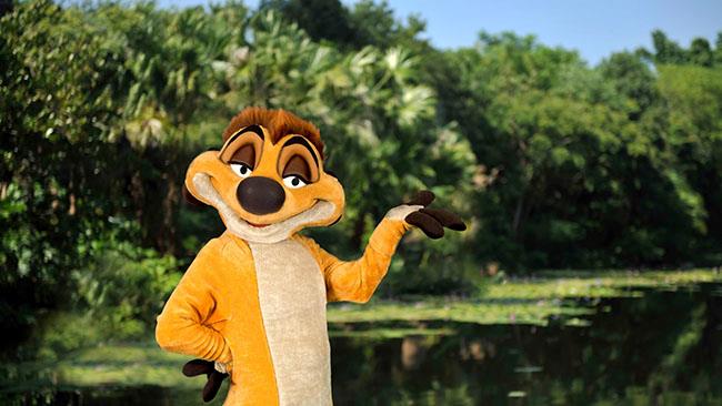 Hakuna Matata Time Dance Party Un'immagine con Timon, uno dei protagonisti dell'Hakuna Matata Time Dance Party