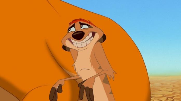 Timon è un esemplare di suricato, tra i protagonisti del film Il re leone Timon