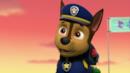 Anteprima Ultimate Rescue: I cuccioli salvano i loro veicoli