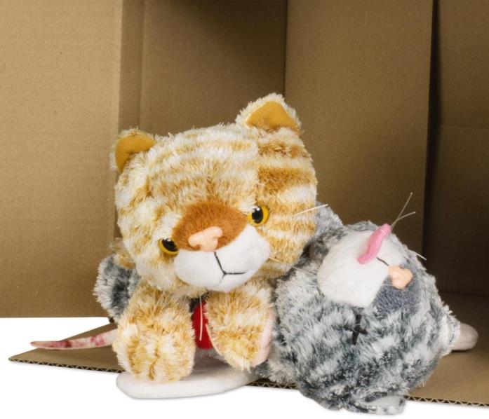 Il Gatto di Schrödinger, peluche Le rappresentazioni del gatto peluche de il paradosso di Schrödinger