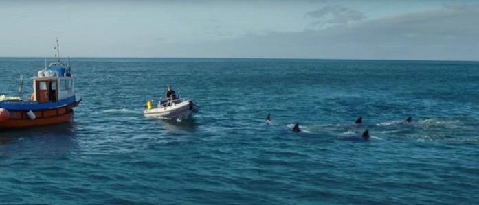 Altra scena del film Deep Blue Sea 2 Deep Blue Sea 2