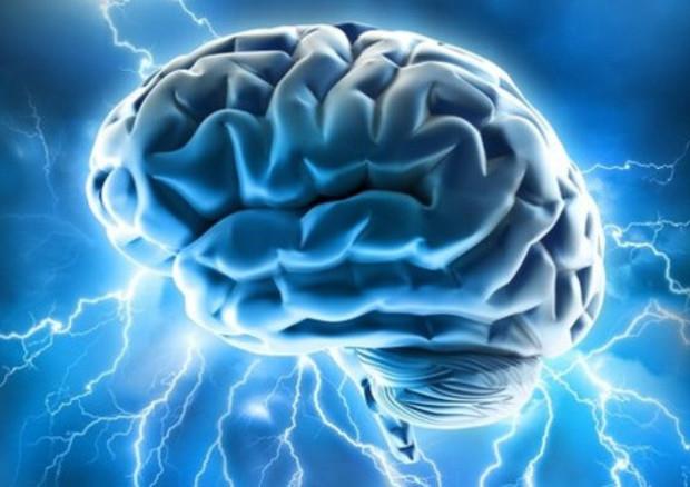 Un'immagine che raffigura il cervello umano